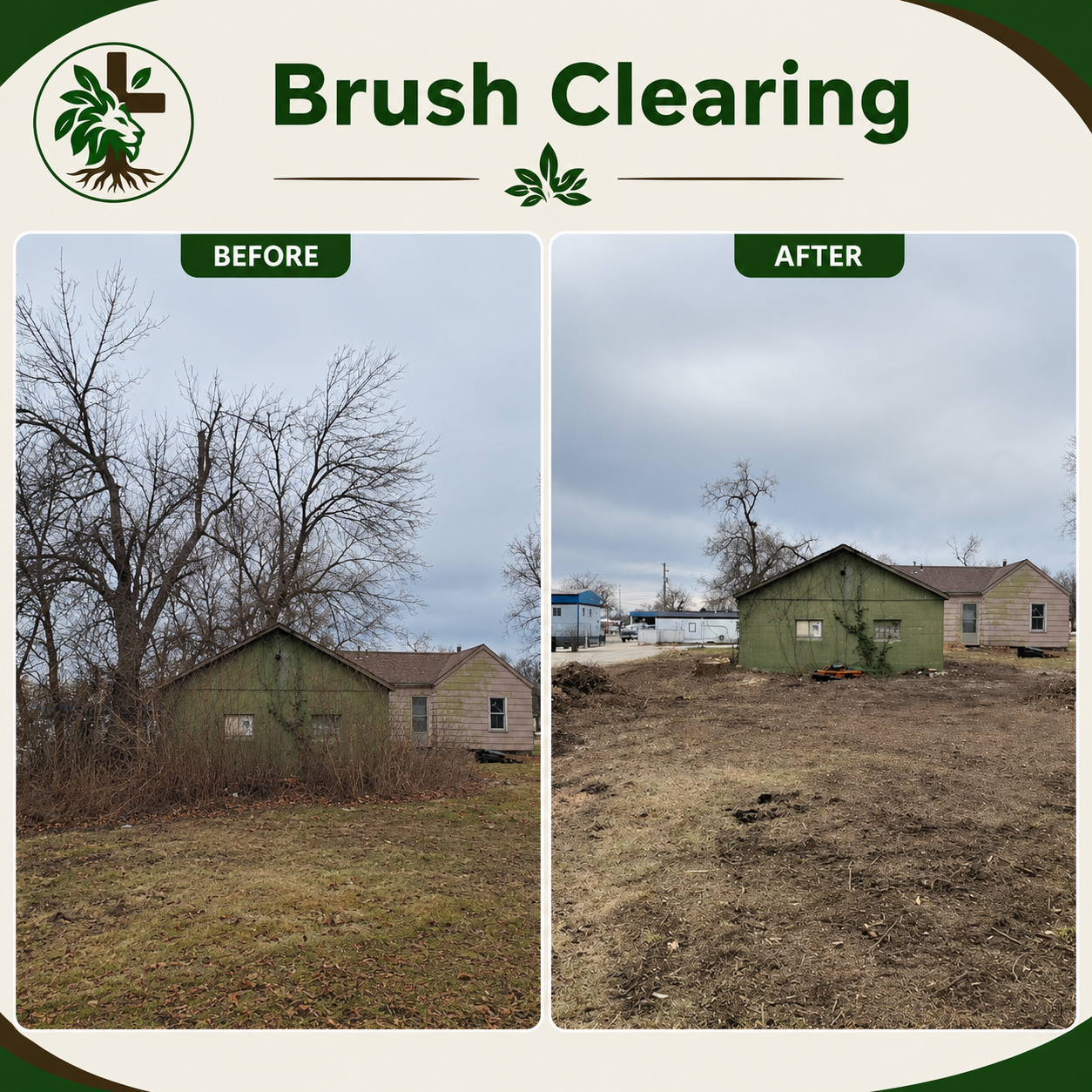 Brush clearing before and after