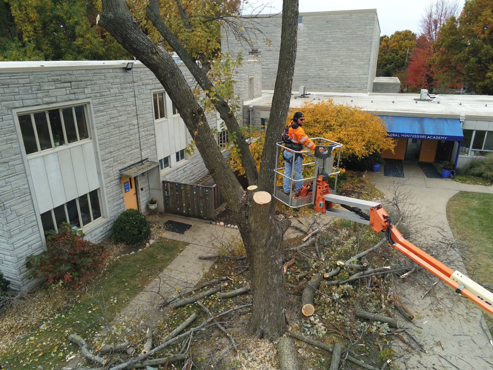 Commercial property tree risk reduction