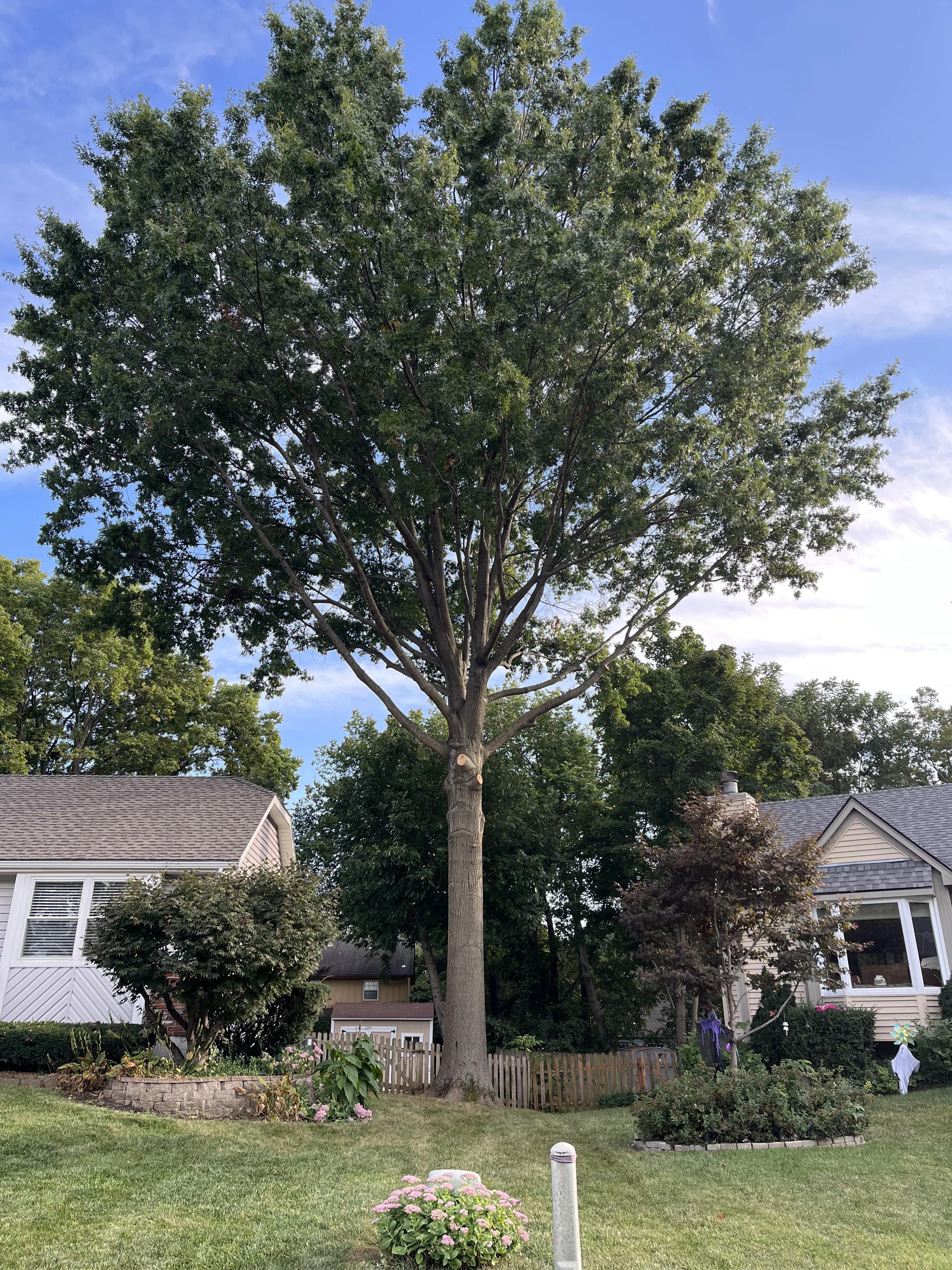 Residential roof clearance