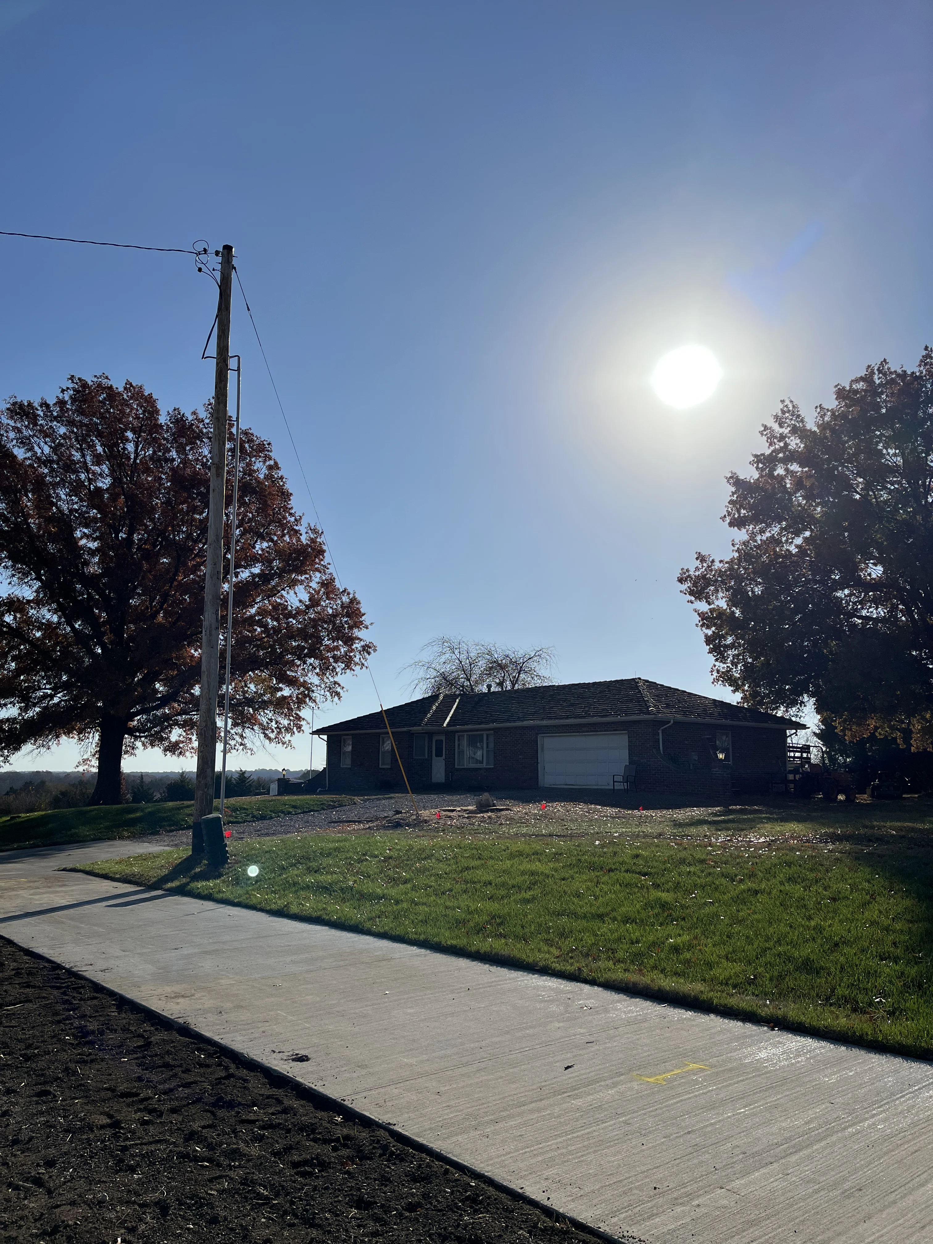 Residential stump in yard