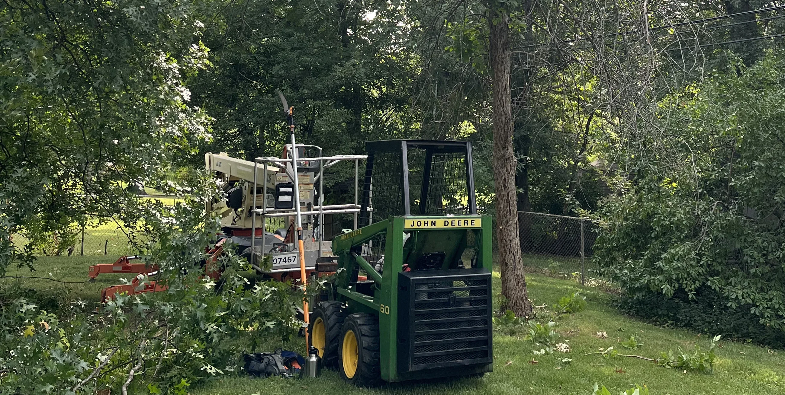 Residential yard cleanup