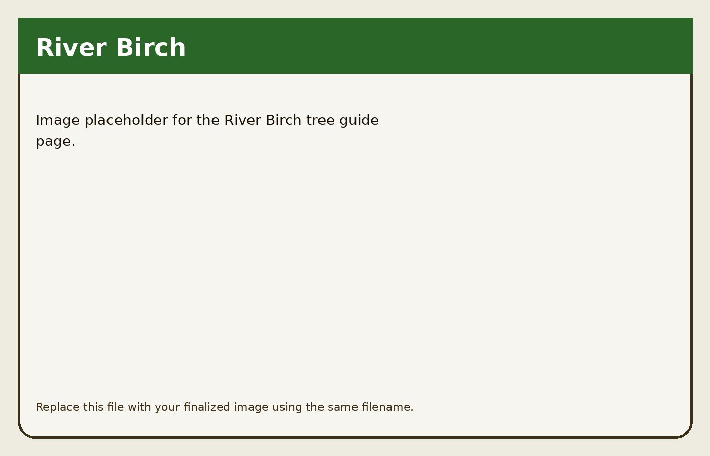 River Birch