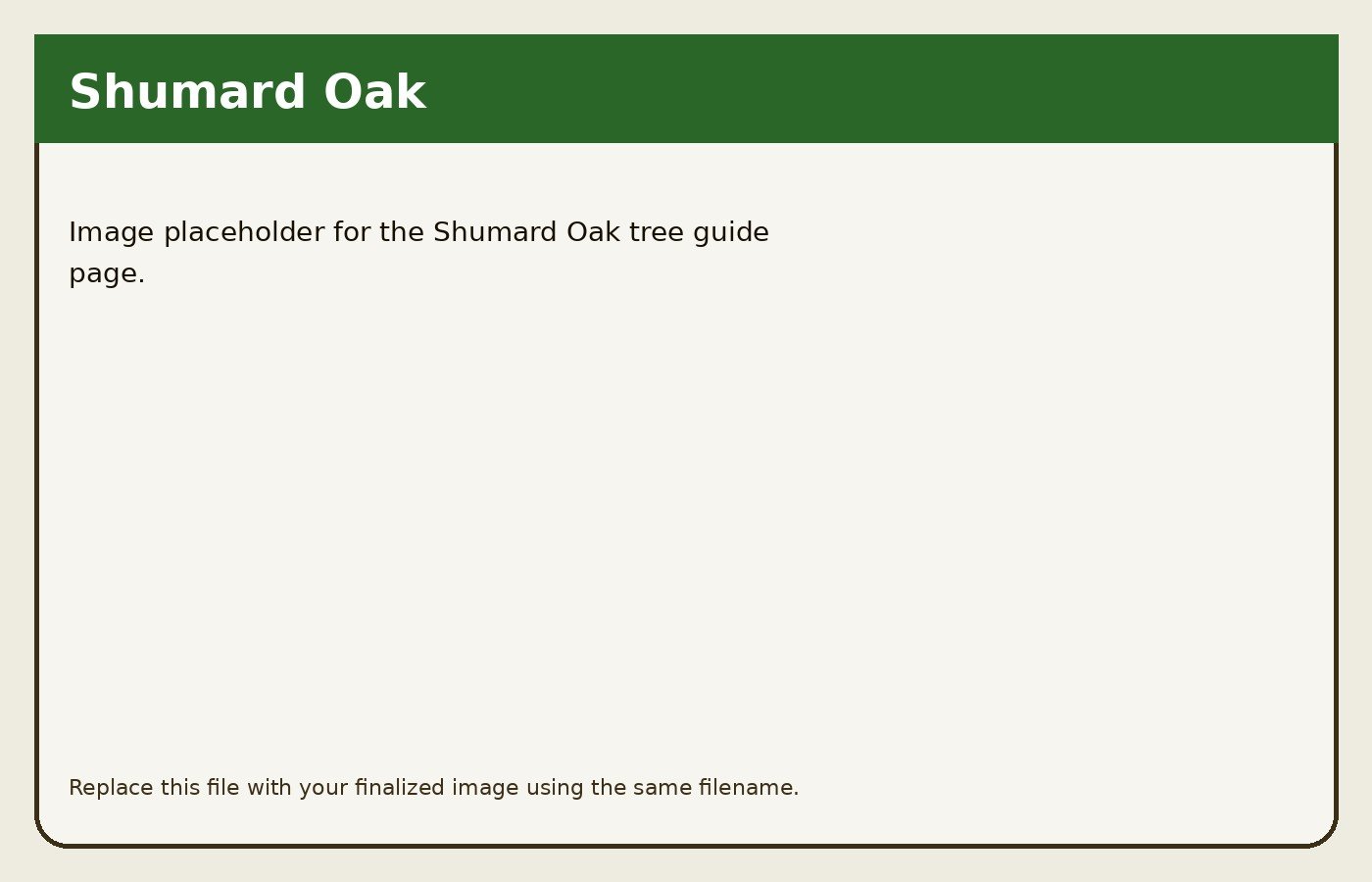 Shumard Oak