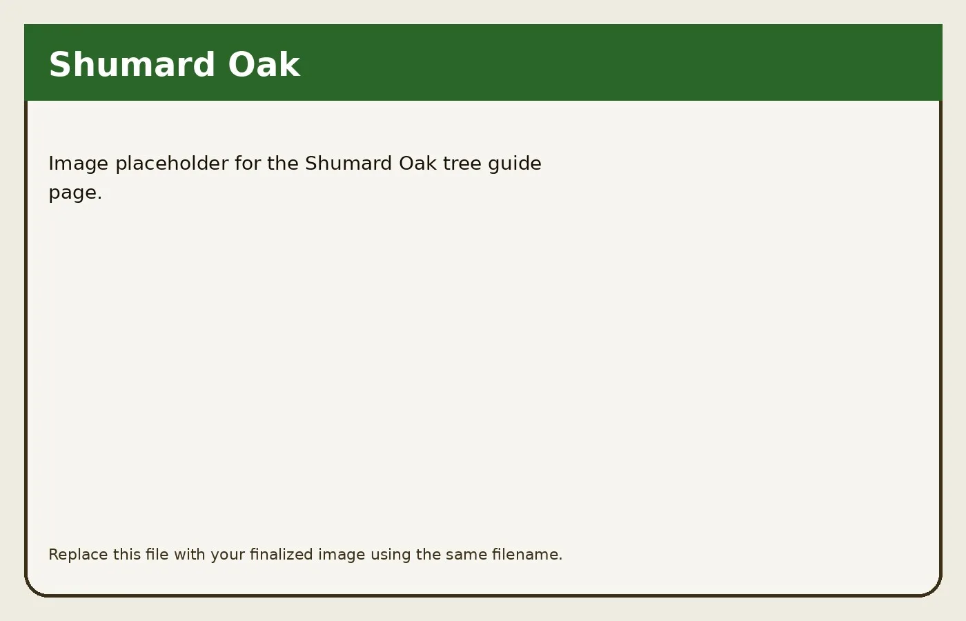 Shumard Oak