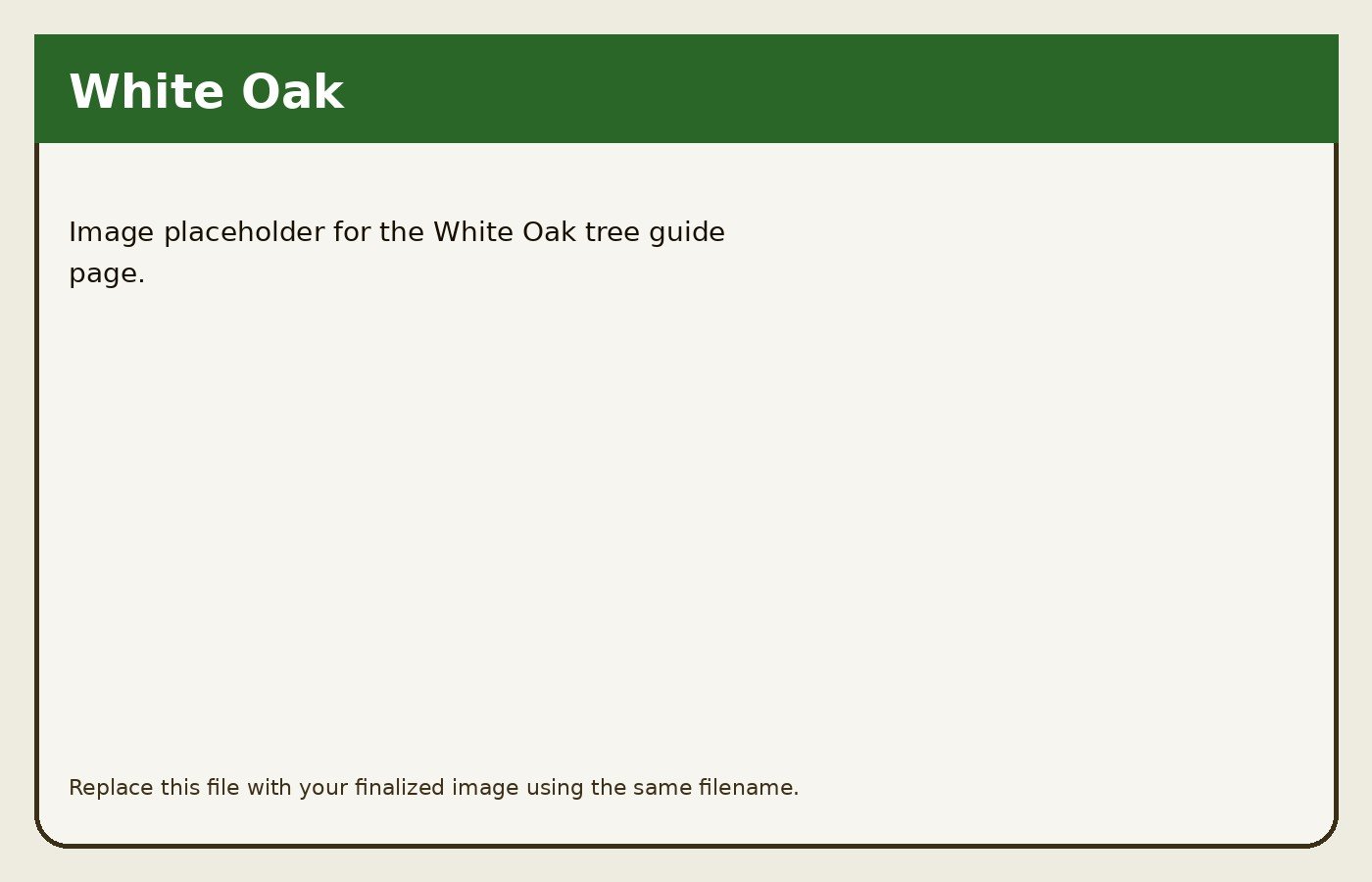White Oak